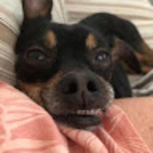 Meet your Posher, Rick